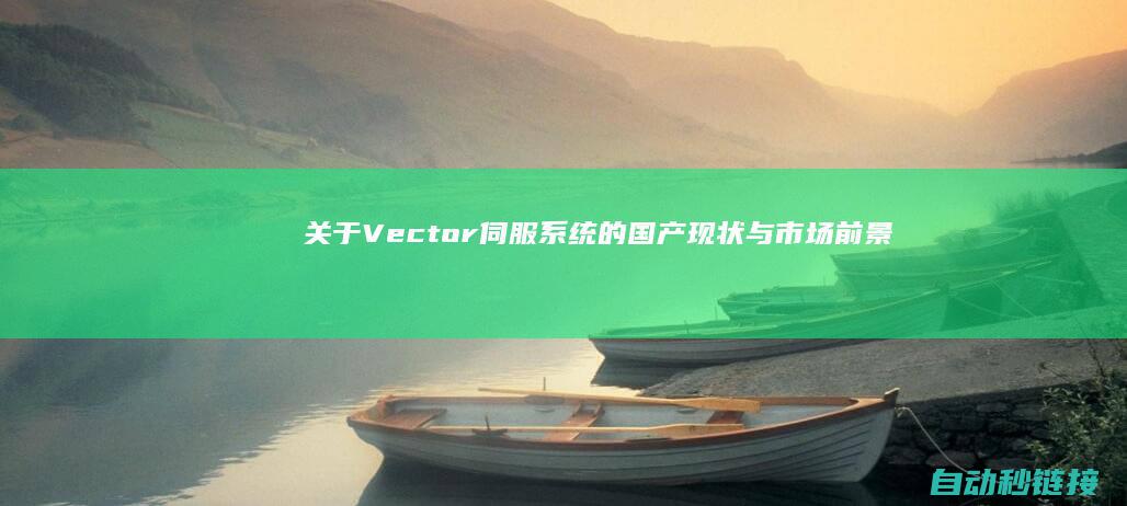 关于Vector伺服系统的国产现状与市场前景 (关于vector和list)